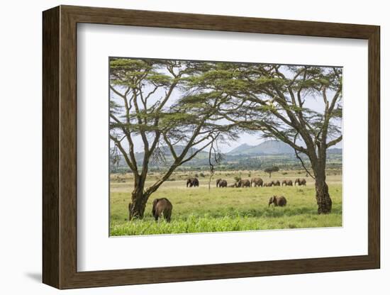 Kenya, Meru County-Nigel Pavitt-Framed Photographic Print