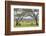 Kenya, Meru County-Nigel Pavitt-Framed Photographic Print