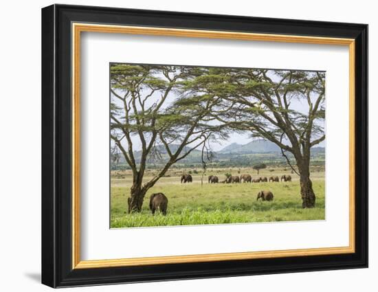 Kenya, Meru County-Nigel Pavitt-Framed Photographic Print