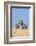 Kenya, Meru County-Nigel Pavitt-Framed Photographic Print