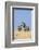 Kenya, Meru County-Nigel Pavitt-Framed Photographic Print