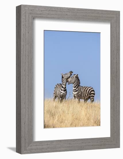 Kenya, Meru County-Nigel Pavitt-Framed Photographic Print