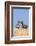 Kenya, Meru County-Nigel Pavitt-Framed Photographic Print