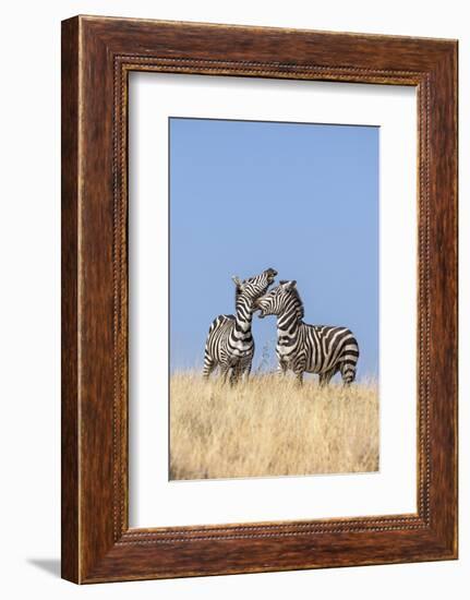 Kenya, Meru County-Nigel Pavitt-Framed Photographic Print