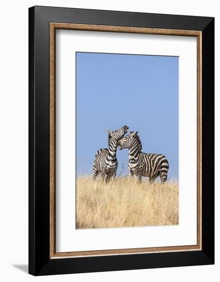 Kenya, Meru County-Nigel Pavitt-Framed Photographic Print