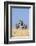 Kenya, Meru County-Nigel Pavitt-Framed Photographic Print