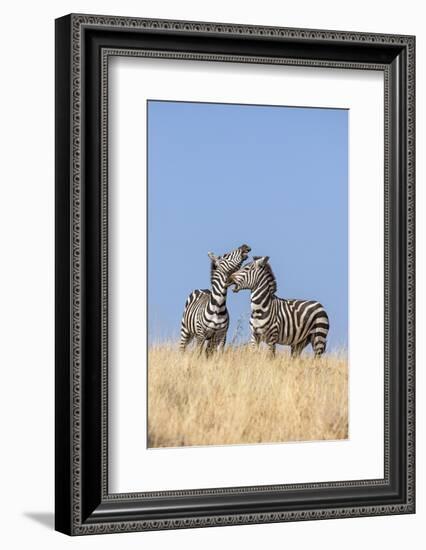 Kenya, Meru County-Nigel Pavitt-Framed Photographic Print