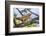 Kenya, Meru County-Nigel Pavitt-Framed Photographic Print