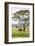 Kenya, Meru County-Nigel Pavitt-Framed Photographic Print