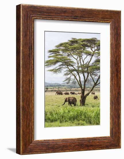 Kenya, Meru County-Nigel Pavitt-Framed Photographic Print