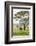 Kenya, Meru County-Nigel Pavitt-Framed Photographic Print