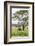 Kenya, Meru County-Nigel Pavitt-Framed Photographic Print