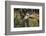 Kenya, Nairobi, Langata, Hog Ranch-Alison Jones-Framed Photographic Print