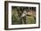 Kenya, Nairobi, Langata, Hog Ranch-Alison Jones-Framed Photographic Print