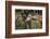 Kenya, Nairobi, Langata, Hog Ranch-Alison Jones-Framed Photographic Print