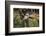 Kenya, Nairobi, Langata, Hog Ranch-Alison Jones-Framed Photographic Print