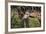 Kenya, Nairobi, Langata, Hog Ranch-Alison Jones-Framed Photographic Print