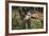 Kenya, Nairobi, Langata, Hog Ranch-Alison Jones-Framed Photographic Print