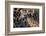 Kenya, Nairobi, Langata, Hog Ranch-Alison Jones-Framed Photographic Print