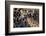 Kenya, Nairobi, Langata, Hog Ranch-Alison Jones-Framed Photographic Print