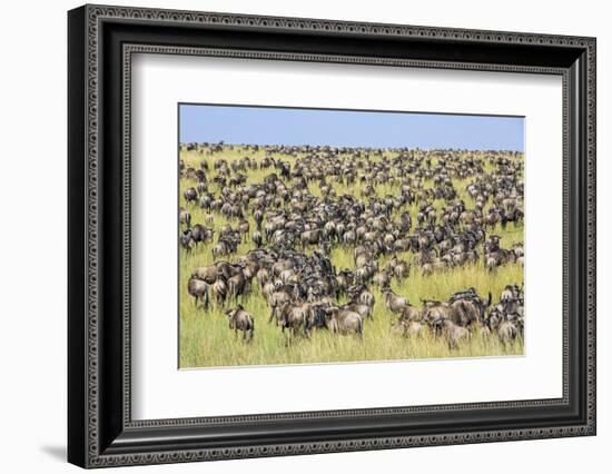 Kenya, Narok County-Nigel Pavitt-Framed Photographic Print