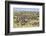 Kenya, Narok County-Nigel Pavitt-Framed Photographic Print