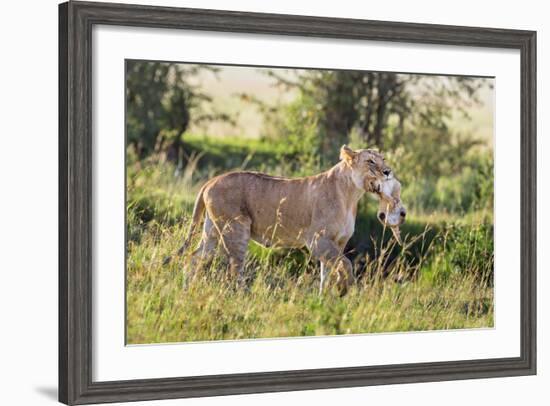Kenya, Narok County-Nigel Pavitt-Framed Photographic Print