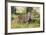 Kenya, Narok County-Nigel Pavitt-Framed Photographic Print