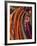 Kenya, Samburu Woman Wearing Decorative Beads-Thomasin Magor-Framed Photographic Print