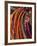 Kenya, Samburu Woman Wearing Decorative Beads-Thomasin Magor-Framed Photographic Print