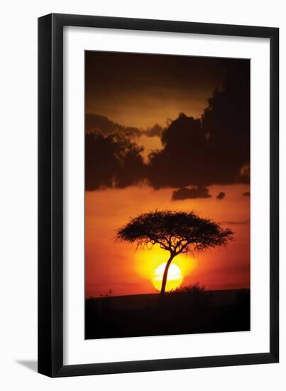 Kenya Sunrise-Susann Parker-Framed Photographic Print