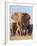 Kenya, Taita-Taveta County, Tsavo East National Park. a Herd of Elephants.-Nigel Pavitt-Framed Photographic Print