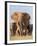 Kenya, Taita-Taveta County, Tsavo East National Park. a Herd of Elephants.-Nigel Pavitt-Framed Photographic Print