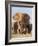 Kenya, Taita-Taveta County, Tsavo East National Park. a Herd of Elephants.-Nigel Pavitt-Framed Photographic Print