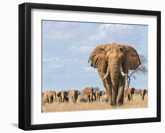 Kenya, Taita-Taveta County-Nigel Pavitt-Framed Photographic Print