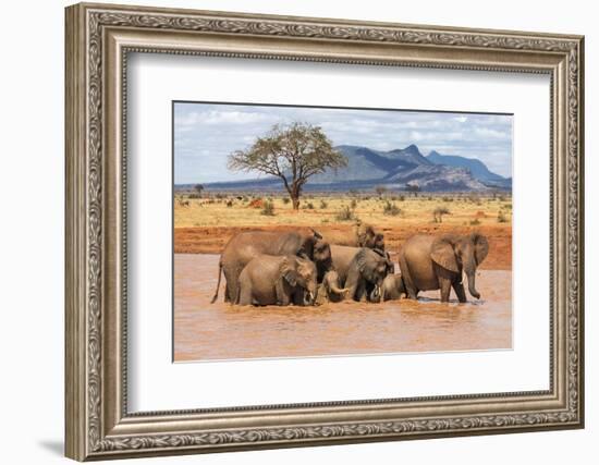 Kenya, Taita-Taveta County-Nigel Pavitt-Framed Photographic Print