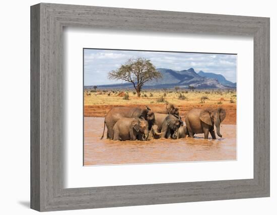 Kenya, Taita-Taveta County-Nigel Pavitt-Framed Photographic Print