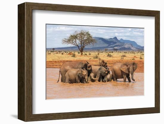 Kenya, Taita-Taveta County-Nigel Pavitt-Framed Photographic Print