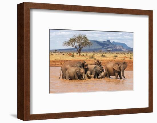 Kenya, Taita-Taveta County-Nigel Pavitt-Framed Photographic Print