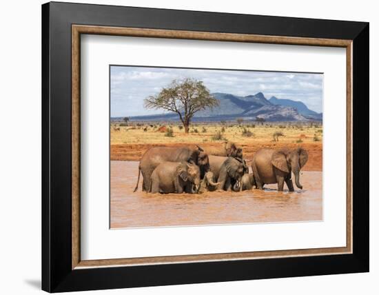 Kenya, Taita-Taveta County-Nigel Pavitt-Framed Photographic Print