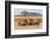 Kenya, Taita-Taveta County-Nigel Pavitt-Framed Photographic Print