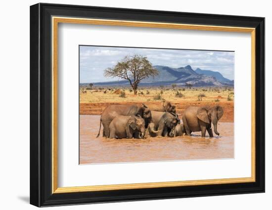 Kenya, Taita-Taveta County-Nigel Pavitt-Framed Photographic Print