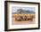 Kenya, Taita-Taveta County-Nigel Pavitt-Framed Photographic Print