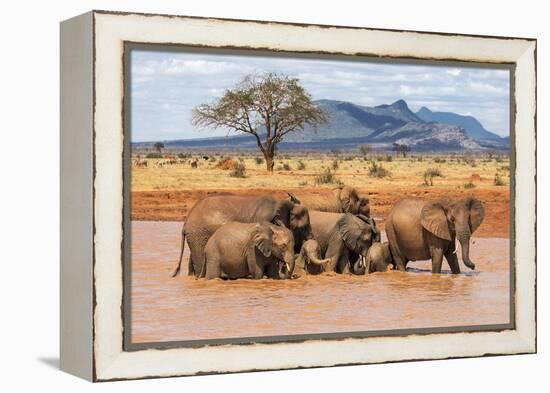 Kenya, Taita-Taveta County-Nigel Pavitt-Framed Premier Image Canvas