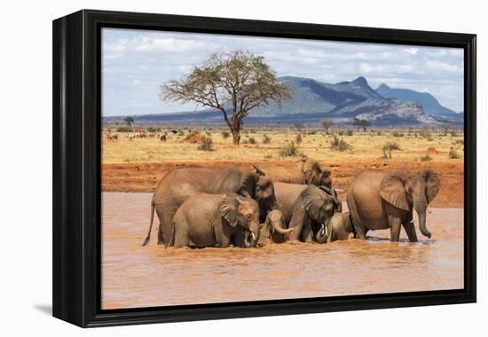 Kenya, Taita-Taveta County-Nigel Pavitt-Framed Premier Image Canvas