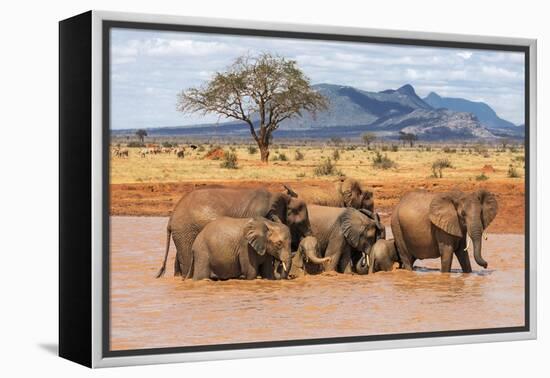 Kenya, Taita-Taveta County-Nigel Pavitt-Framed Premier Image Canvas