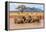 Kenya, Taita-Taveta County-Nigel Pavitt-Framed Premier Image Canvas