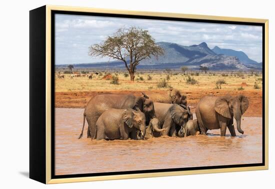 Kenya, Taita-Taveta County-Nigel Pavitt-Framed Premier Image Canvas