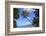 Keomo Beach near Kealakekua Bay, Captain Cook, North Kona area, Big Island, Hawaii, USA-Stuart Westmorland-Framed Photographic Print