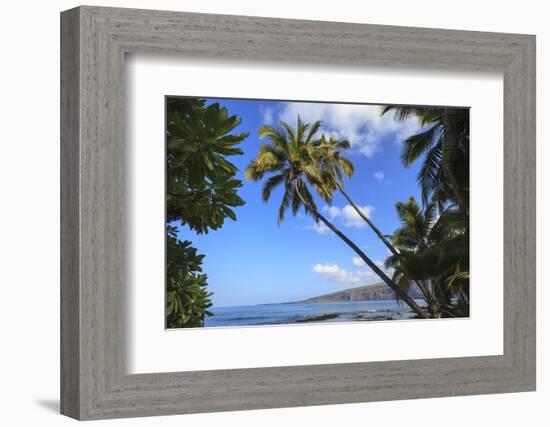 Keomo Beach near Kealakekua Bay, Captain Cook, North Kona area, Big Island, Hawaii, USA-Stuart Westmorland-Framed Photographic Print